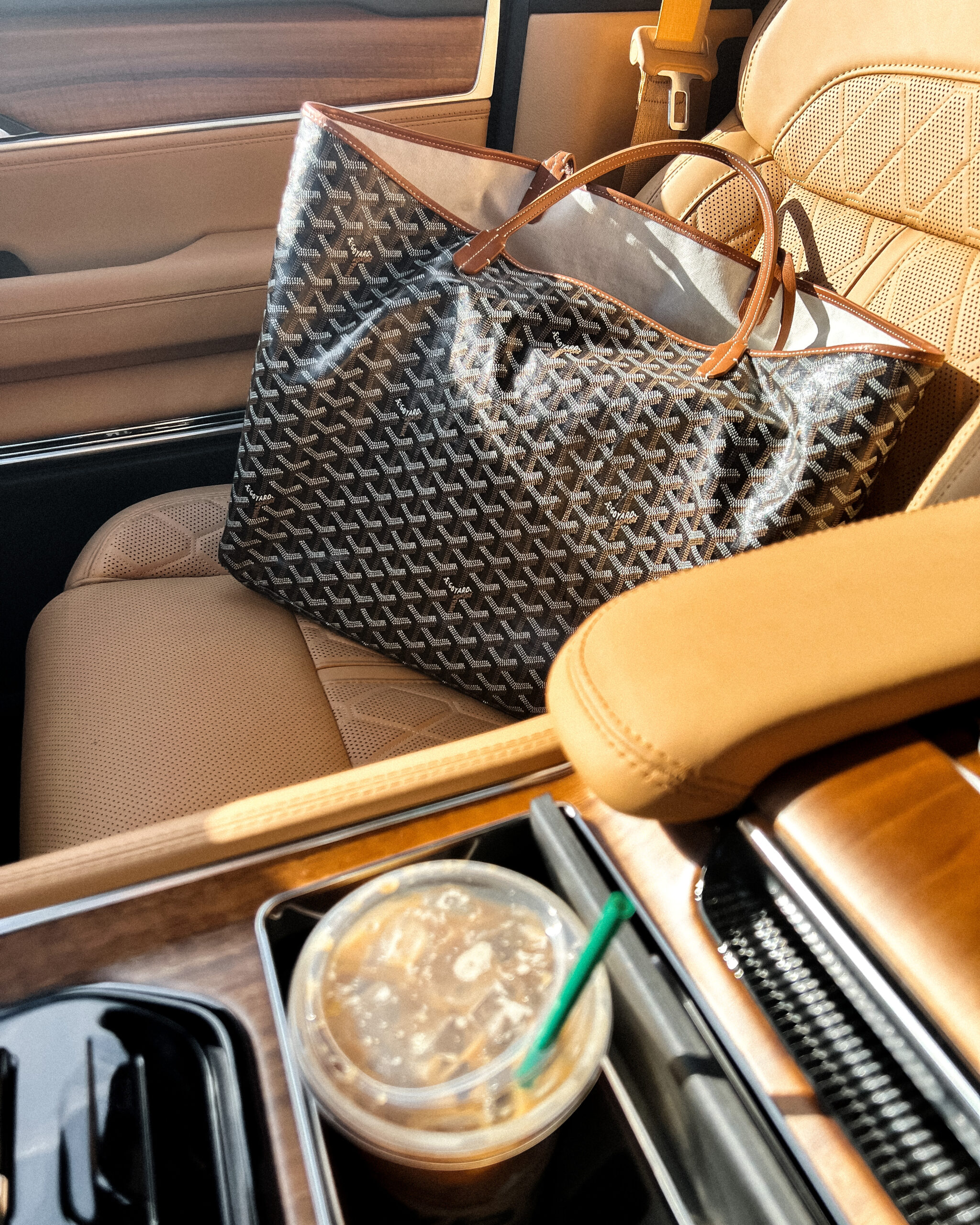 Fashion Jackson Goyard Saint Louis GM Tote Fashion Jackson Goyard Saint Louis GM Tote